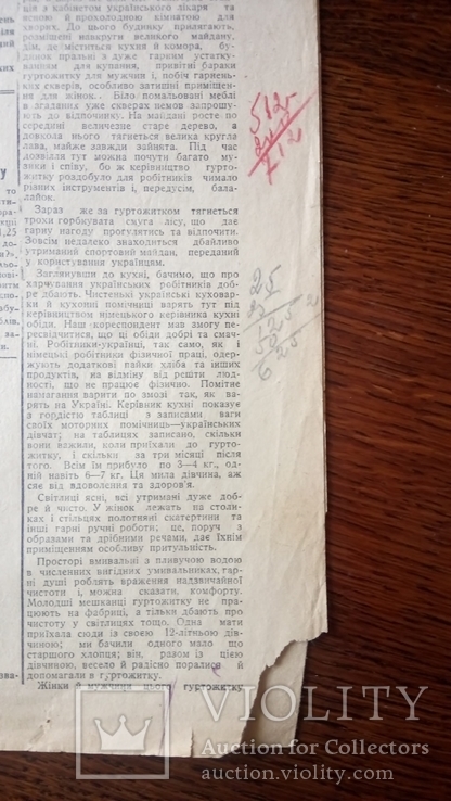 Голос Полтавщини 7 липня 1942 року ч. 67(85) Полтава Окупаційна, фото №4
