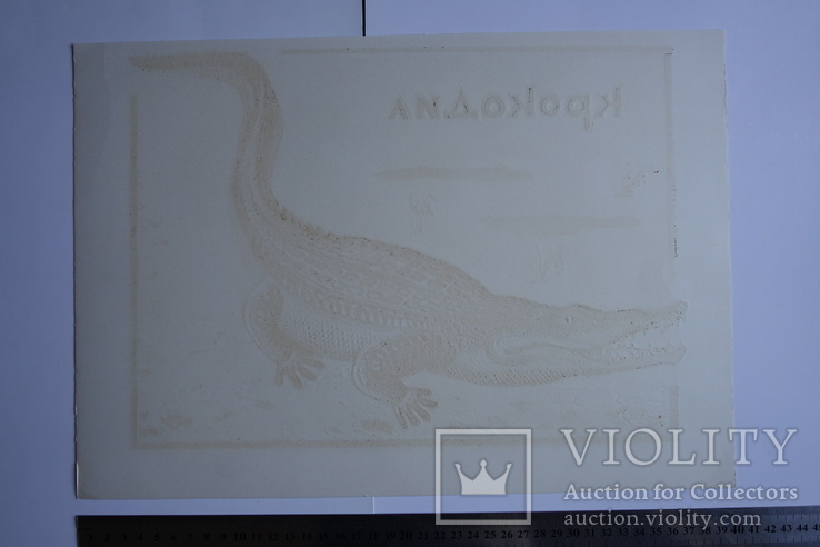 Крокодил Лінорит є підпис 1980і, фото №4