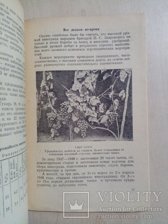 127 центнеров Винограда с гектара 1949 г. тираж 5 тыс, фото №5