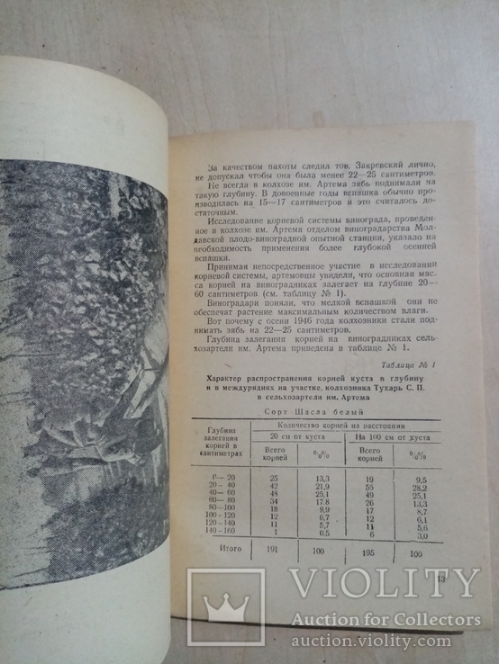 127 центнеров Винограда с гектара 1949 г. тираж 5 тыс, фото №6