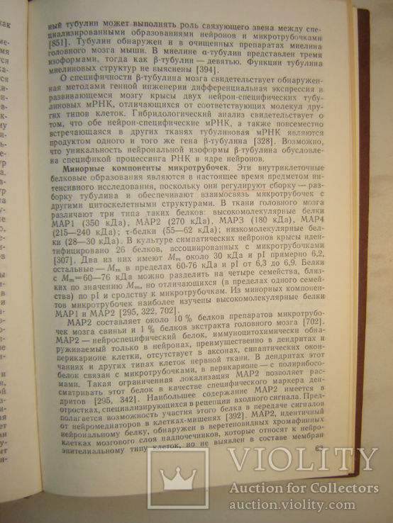 Специфические белки нервной ткани., фото №5