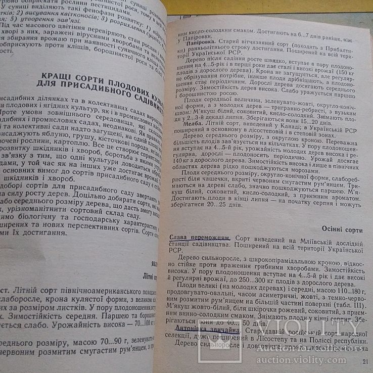 Колективні і присадибні сади 1989р., фото №7