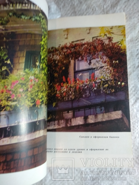 Озеленение балконов 1980, фото №8