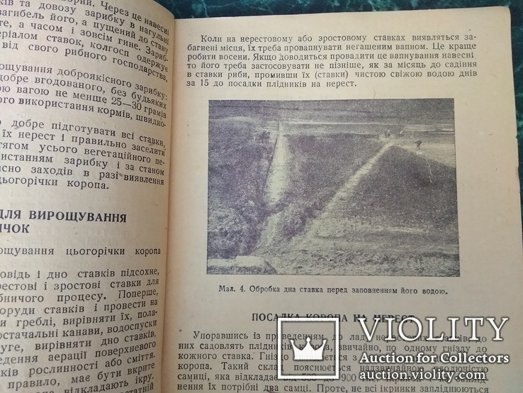 "Ставкове рибне господарство колгоспів України" І.М.Ростовцев.Київ 1946 Харків., фото №6