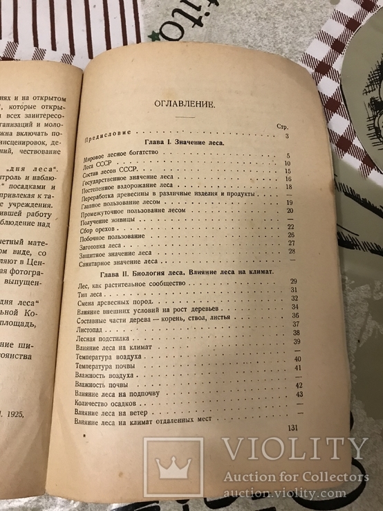 Лес Представления о лесе 1928год, фото №9