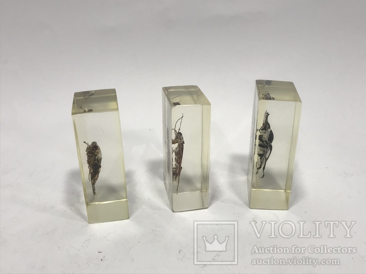 Набор насекомых скорпион и другие, фото №9