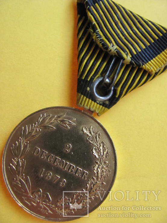 Военная медаль 1873 года, фото №13