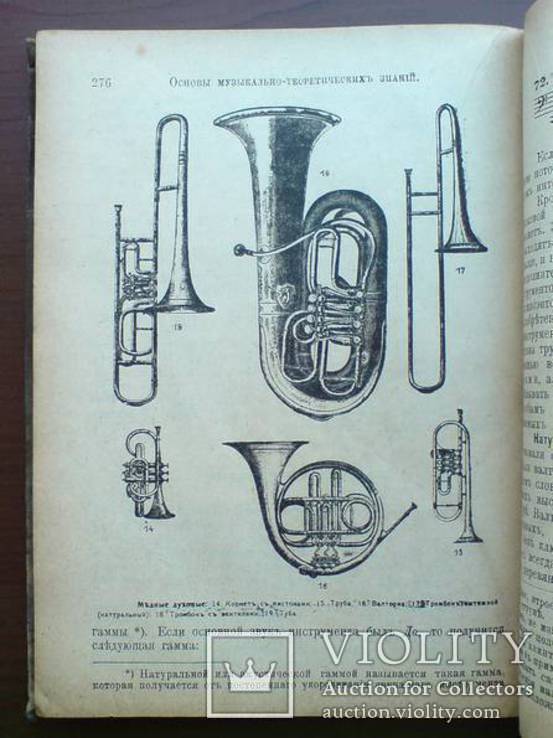 Музыкальное образование 1903 С рисунками, фото №5