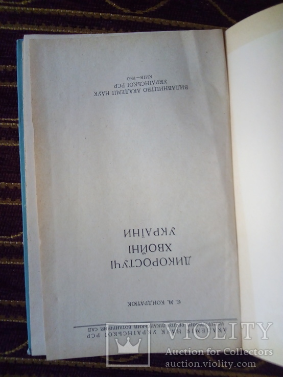 ДИКОРОСТУЧІ ХВОЙНІ УКРАЇНИ, фото №3