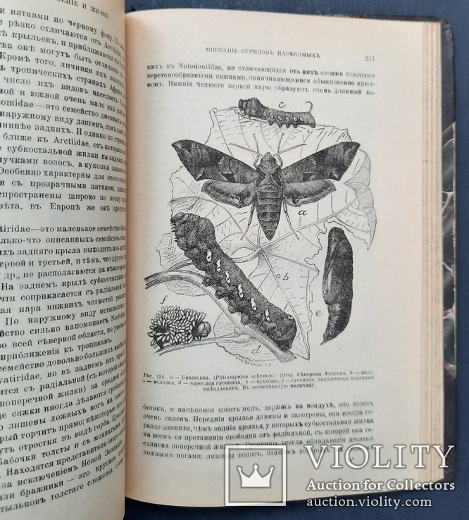 Carpenter G. Insects, their structure and life. With 184 drawings. 1903., photo number 7