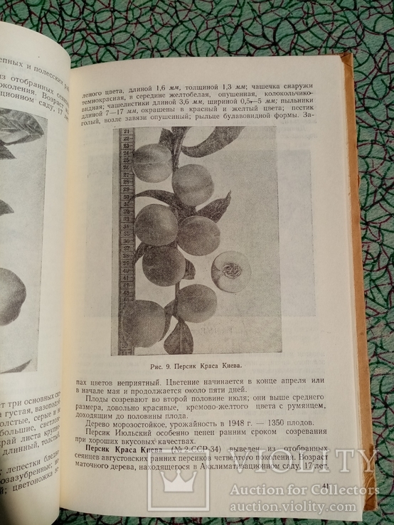 Акклиматизация растений 1953 г. т. 3 тыс., фото №5
