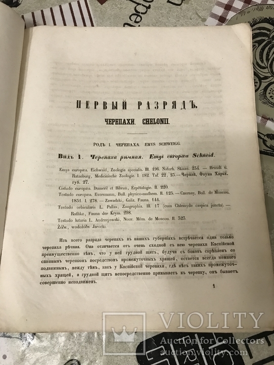 Животные Земноводные Киев 1852год, фото №8