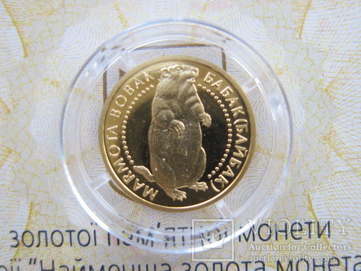 2 гривні НБУ 2007 рік Бабак (Байбак) Сурок Ідеал Золото 999,9, фото №5