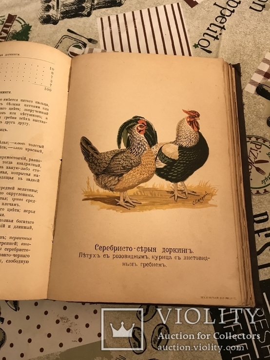 Птицеводство Цветные иллюстрации 1895год, фото №2