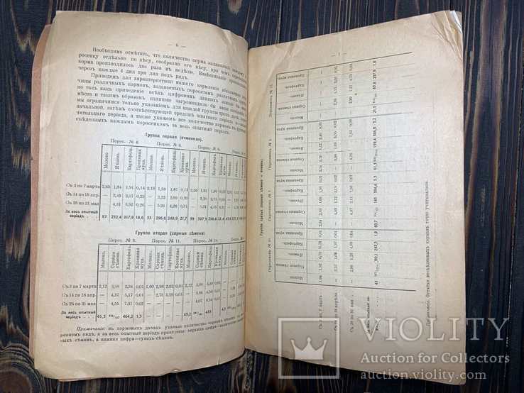 1915 Опыт мясного откорма подсвинков сорными семенами, фото №3