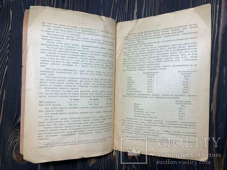 1915 Опыт мясного откорма подсвинков сорными семенами, фото №7