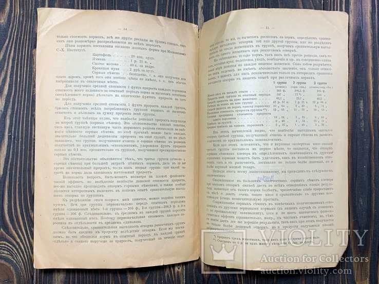 1915 Опыт мясного откорма подсвинков сорными семенами, фото №8