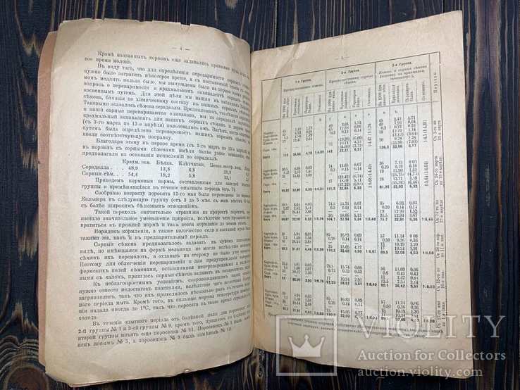 1915 Опыт мясного откорма подсвинков сорными семенами, фото №9