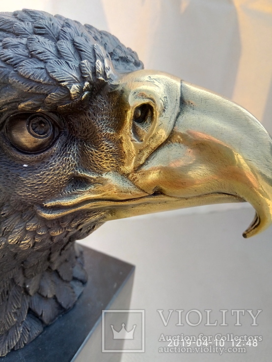 Голова белоголового орла бронза мрамор Европа 3,88 кг, фото №4