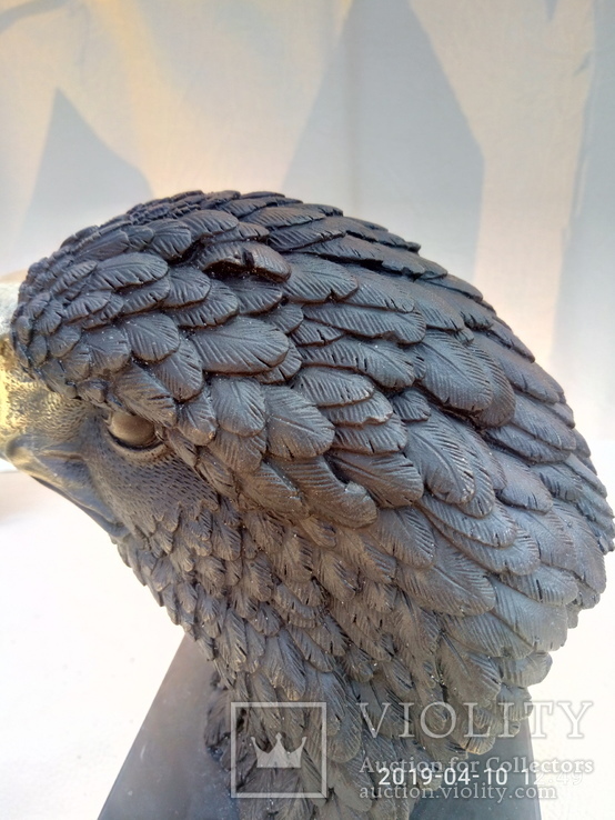Голова белоголового орла бронза мрамор Европа 3,88 кг, фото №7