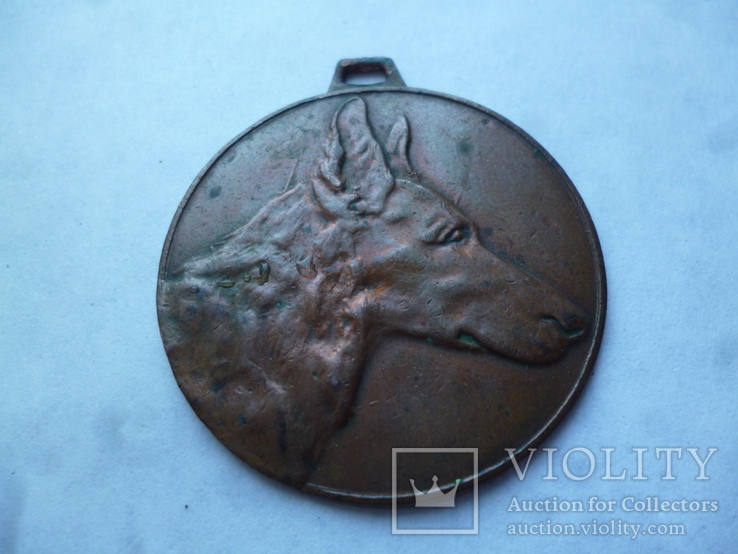 Собачий жетон Медаль Кинолог, фото №3