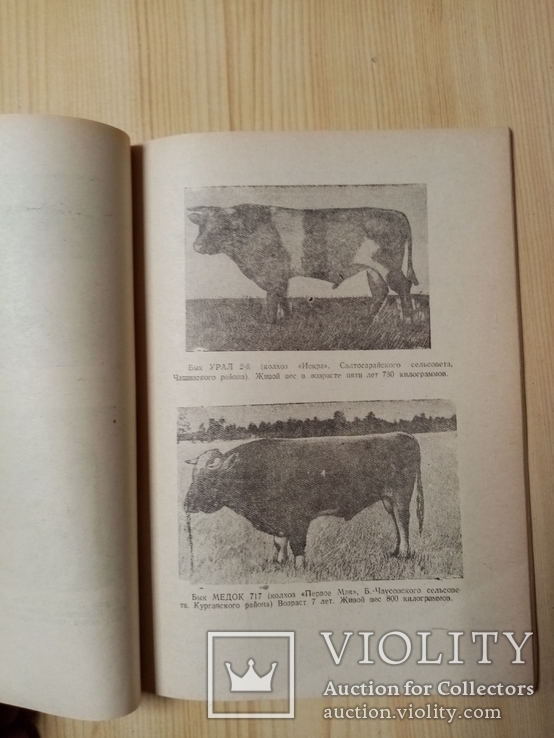Каталог Быков производителей Курганской породы 1950 г. тираж 150 экз. Редкий, фото №7