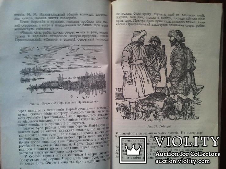 Микола Миколайович Пржевальський. 1953 р., фото №4