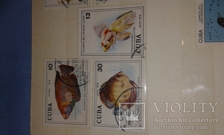 Почтовые марки Кубы. Птицы, рыбки., фото №6