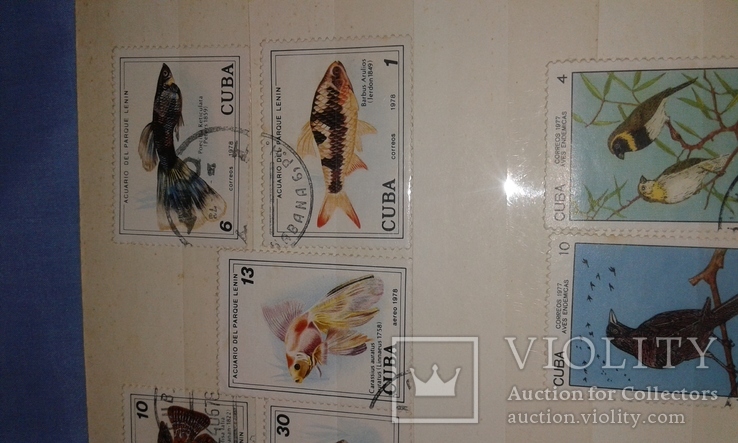 Почтовые марки Кубы. Птицы, рыбки., фото №7