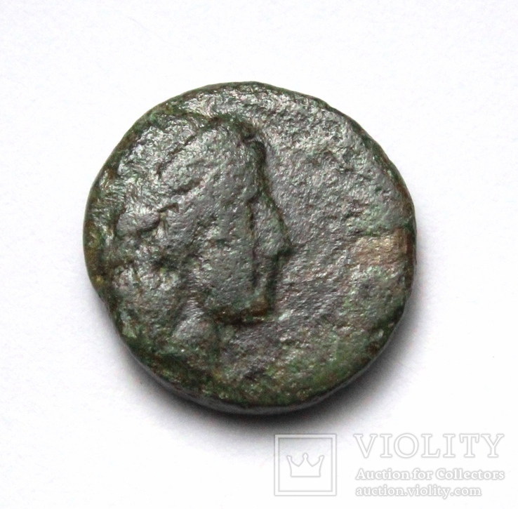 Іонія, м.Колофон, бронзовий халк 360-330 до н.е. – Аполлон / протома коня, фото №4