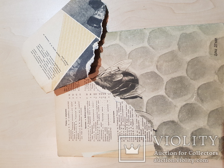 Пчеловодство 1961 год № 12., фото №8