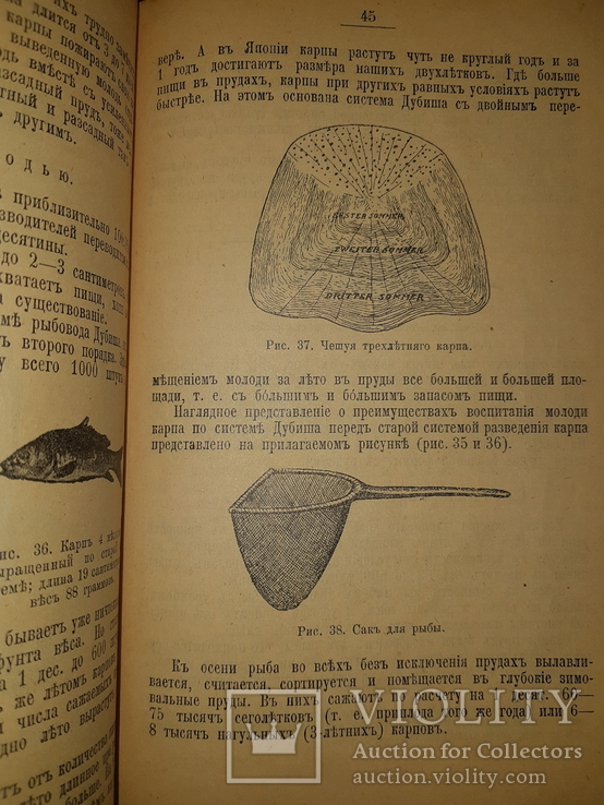 1907 Прудовое хозяйство, фото №4