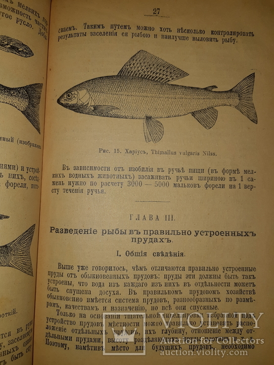 1907 Прудовое хозяйство, фото №9