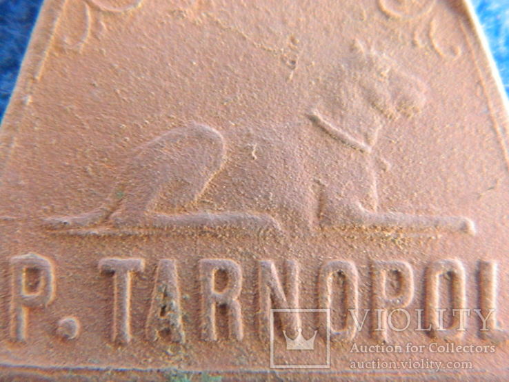 №1. Собачий жетон із раритетним номером (p.Tarnopol/jankowce), фото №10