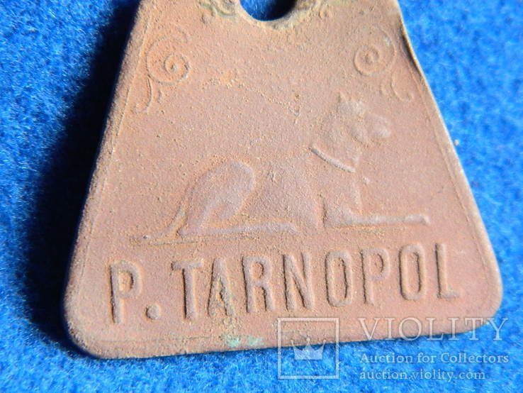 №1. Собачий жетон із раритетним номером (p.Tarnopol/jankowce), фото №11
