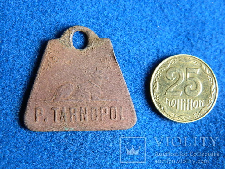 №1. Собачий жетон із раритетним номером (p.Tarnopol/jankowce), фото №12