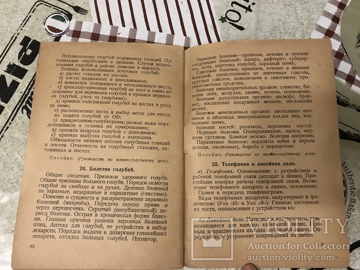 Голуби боевые для РККА руководство 1930г, фото №9