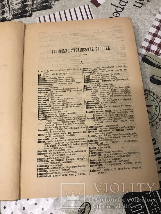 Російсько-Український словники 1918р Два томи в книзі, фото №4