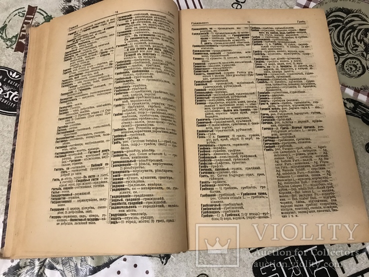 Російсько-Український словники 1918р Два томи в книзі, фото №6