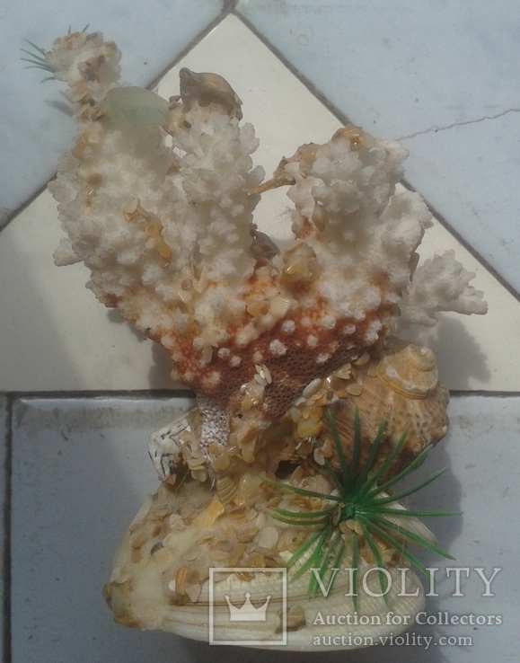 Коралл Белый Аквариумный с ракушкой 7 * 10 * 14 см. 250 грамм, фото №2