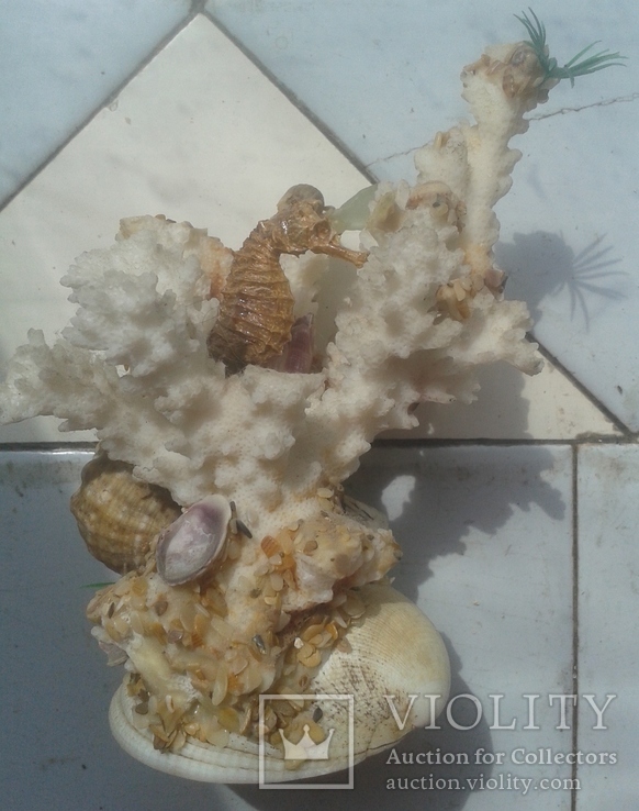 Коралл Белый Аквариумный с ракушкой 7 * 10 * 14 см. 250 грамм, фото №3