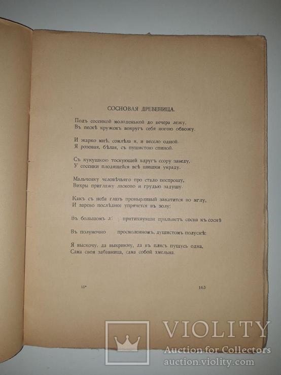 Ива: Пятая книга стихов. Сергей Городецкий. 1913 год, фото №8