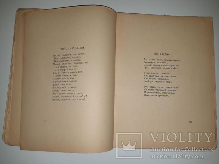Ива: Пятая книга стихов. Сергей Городецкий. 1913 год, фото №9
