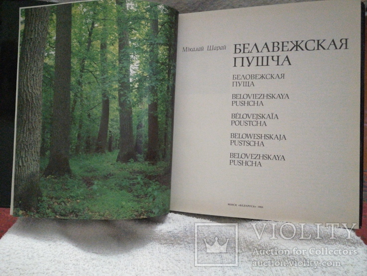 1980г Беларусь.Белавежская Пушча.Суперобложка.Тир100 000экз.Ф-т.84х100.Фотоальбом., фото №4