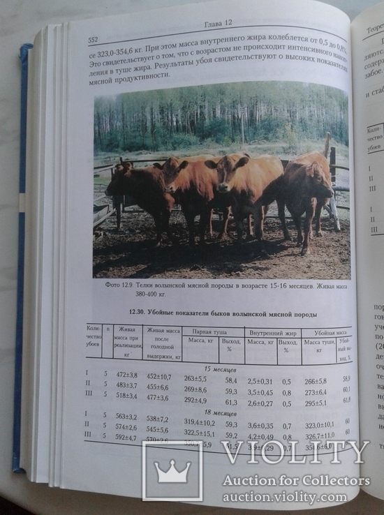 Генетика, селекция и биотехнология в скотоводстве., photo number 10