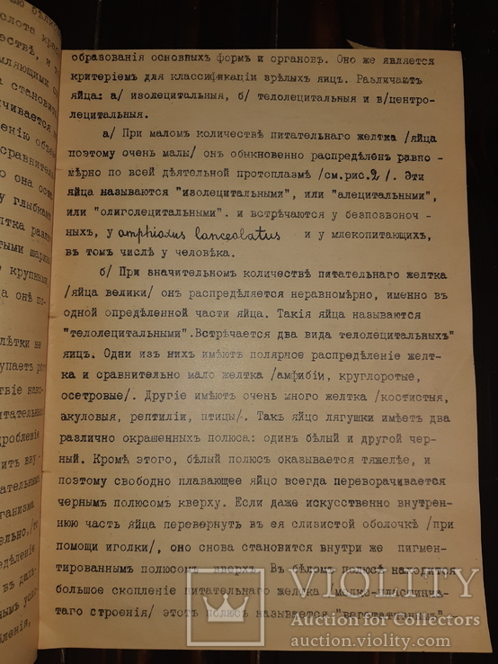 1911 Общая эмбриология, фото №4