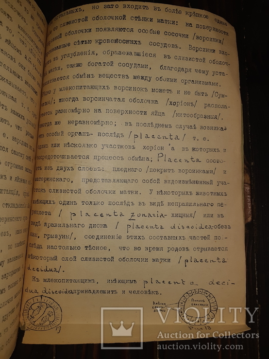 1911 Общая эмбриология, фото №8