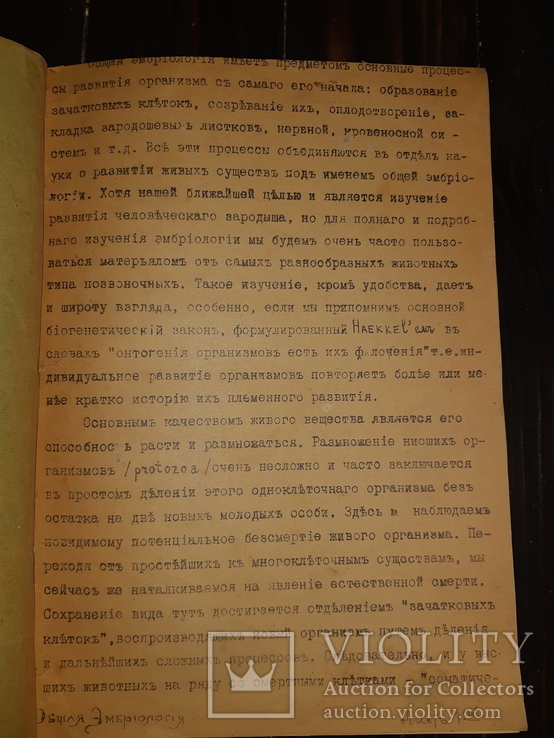 1911 Общая эмбриология, фото №9