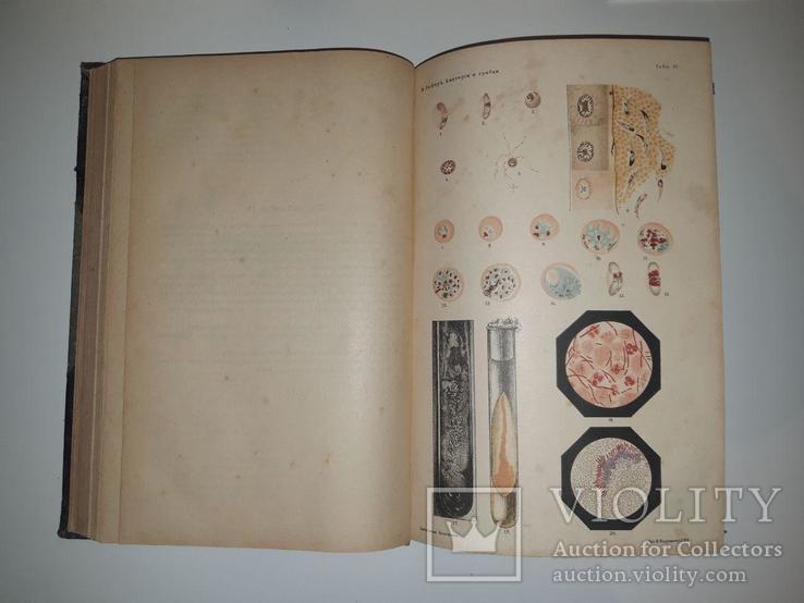 Бактерии и грибки (14 том). Франц Лафар. "Библиотека естествознания"  1907 г., фото №9