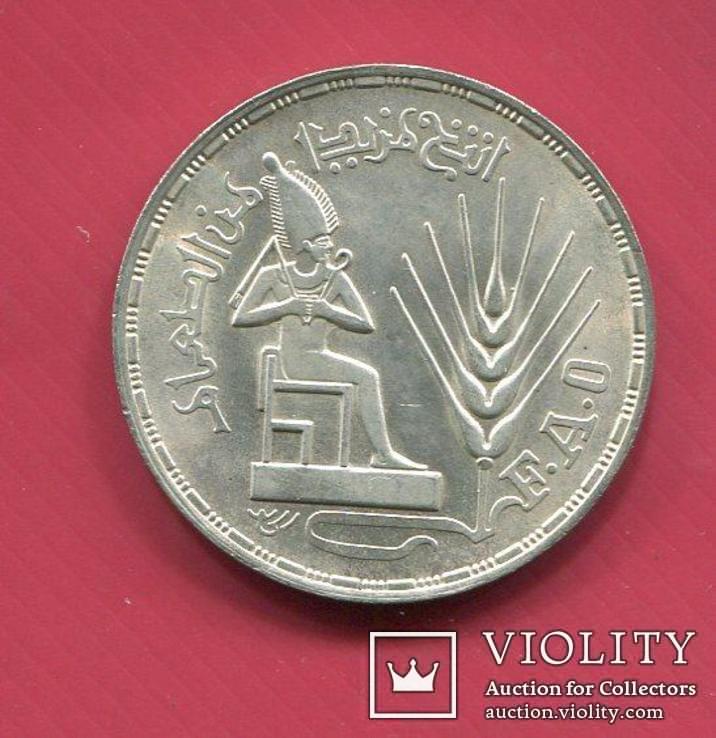 Египет 1 фунт 1976 UNC ФАО